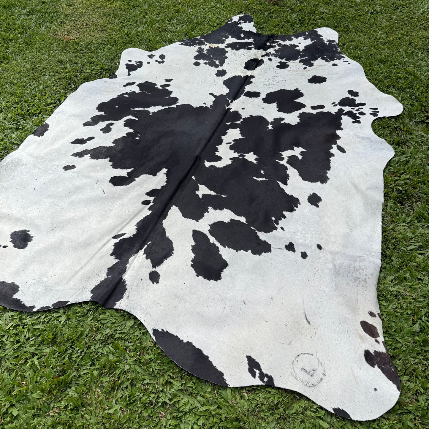 Large Premium Cowhide Rug 0022