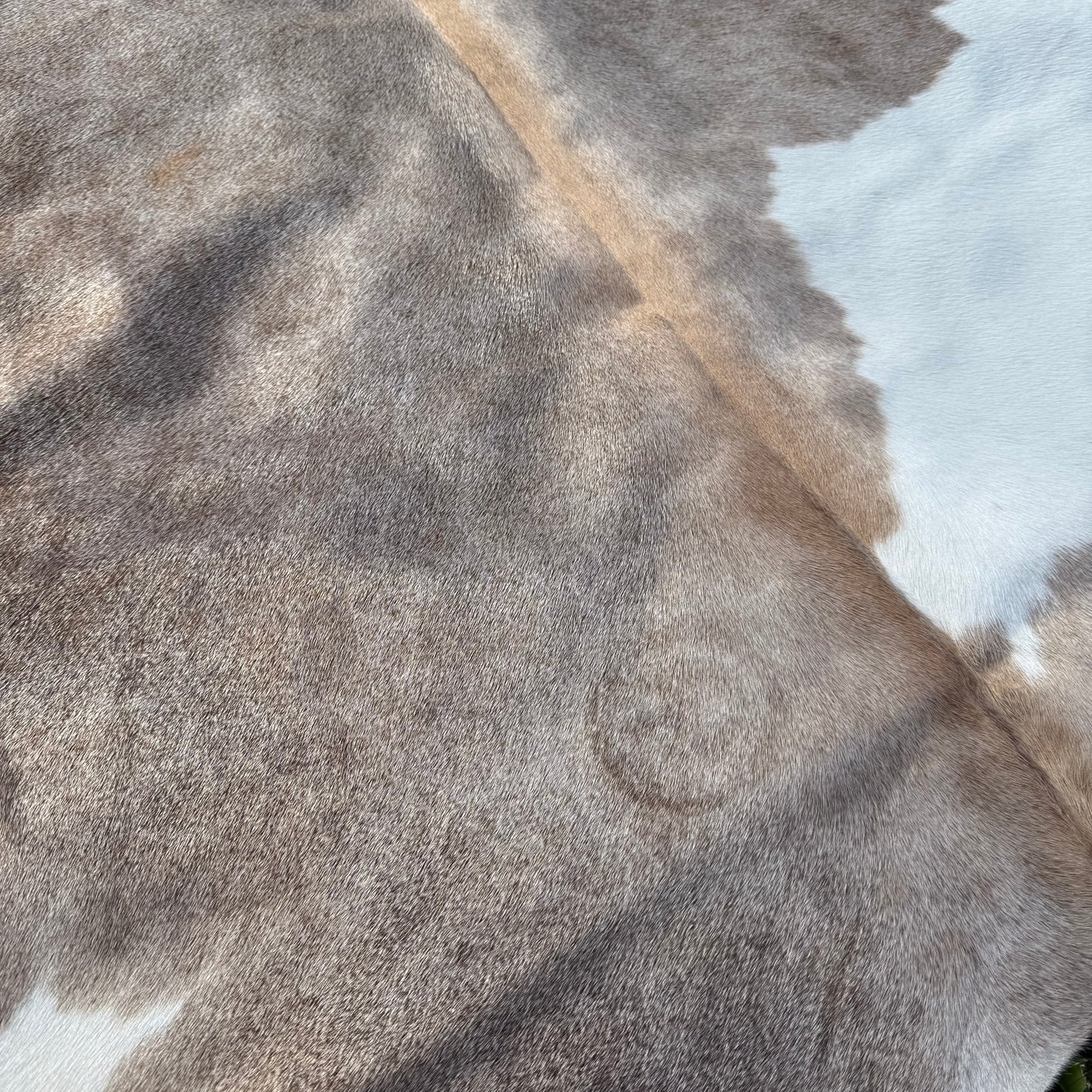 Large Premium Cowhide Rug 0039
