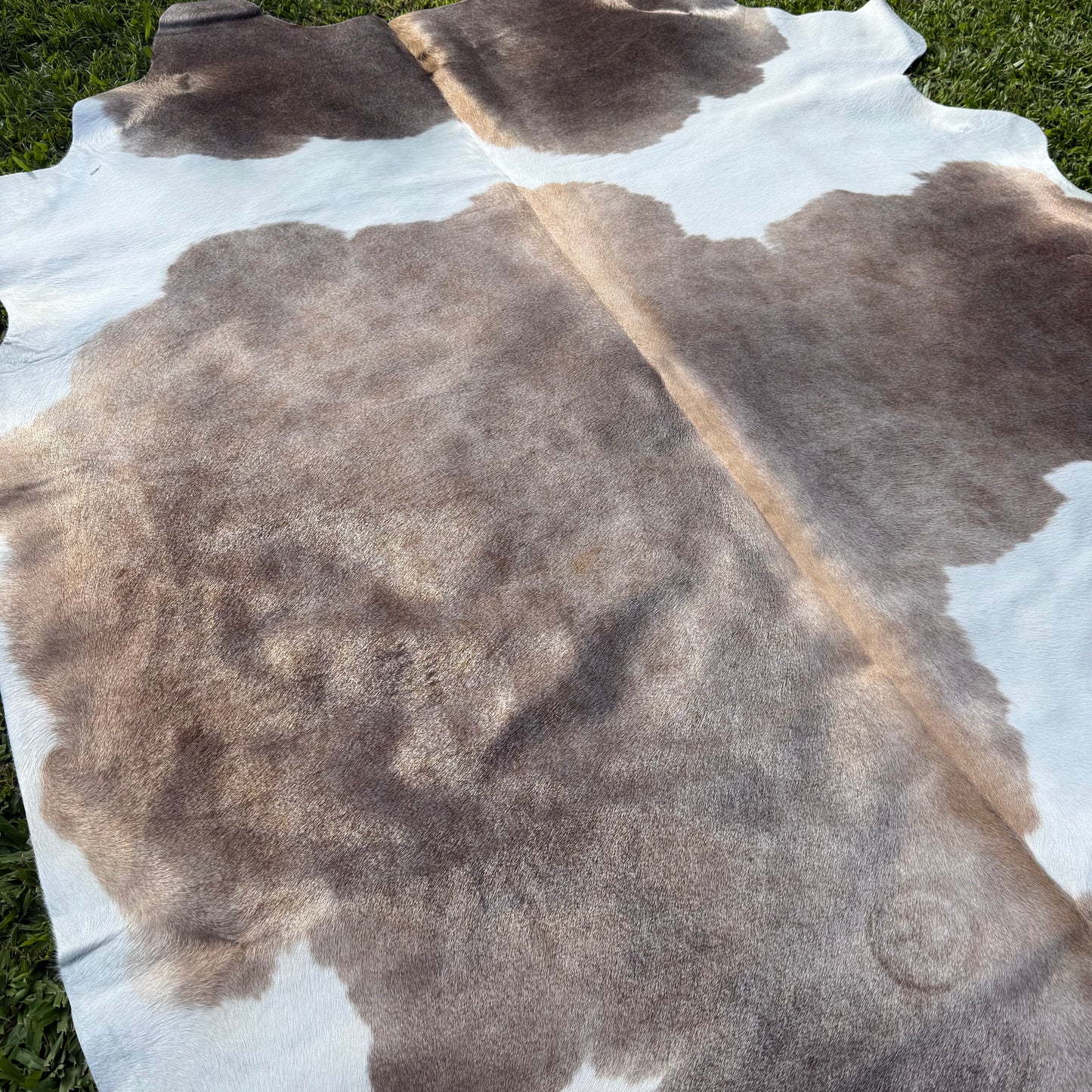 Large Premium Cowhide Rug 0039