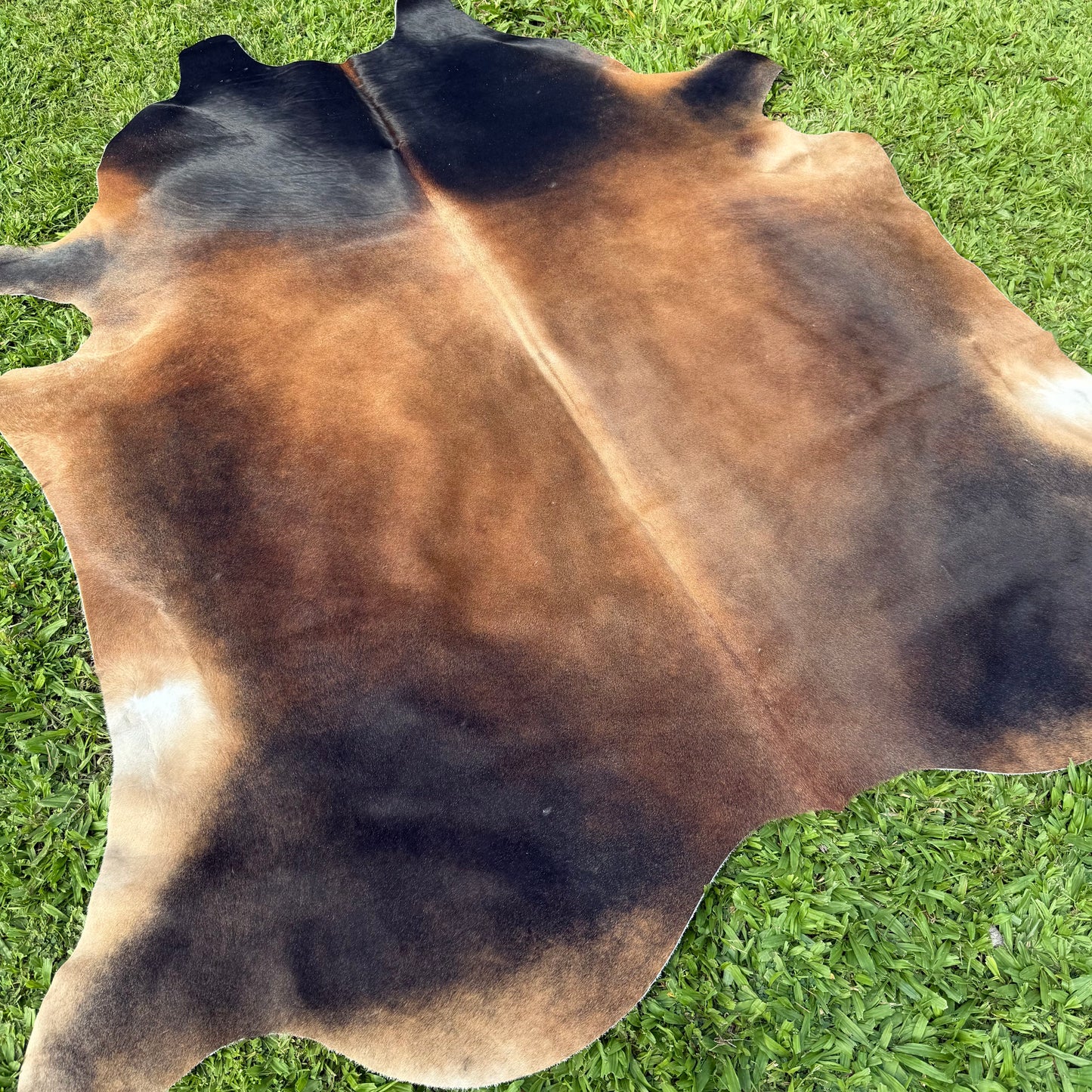 Large Premium Cowhide Rug 0041