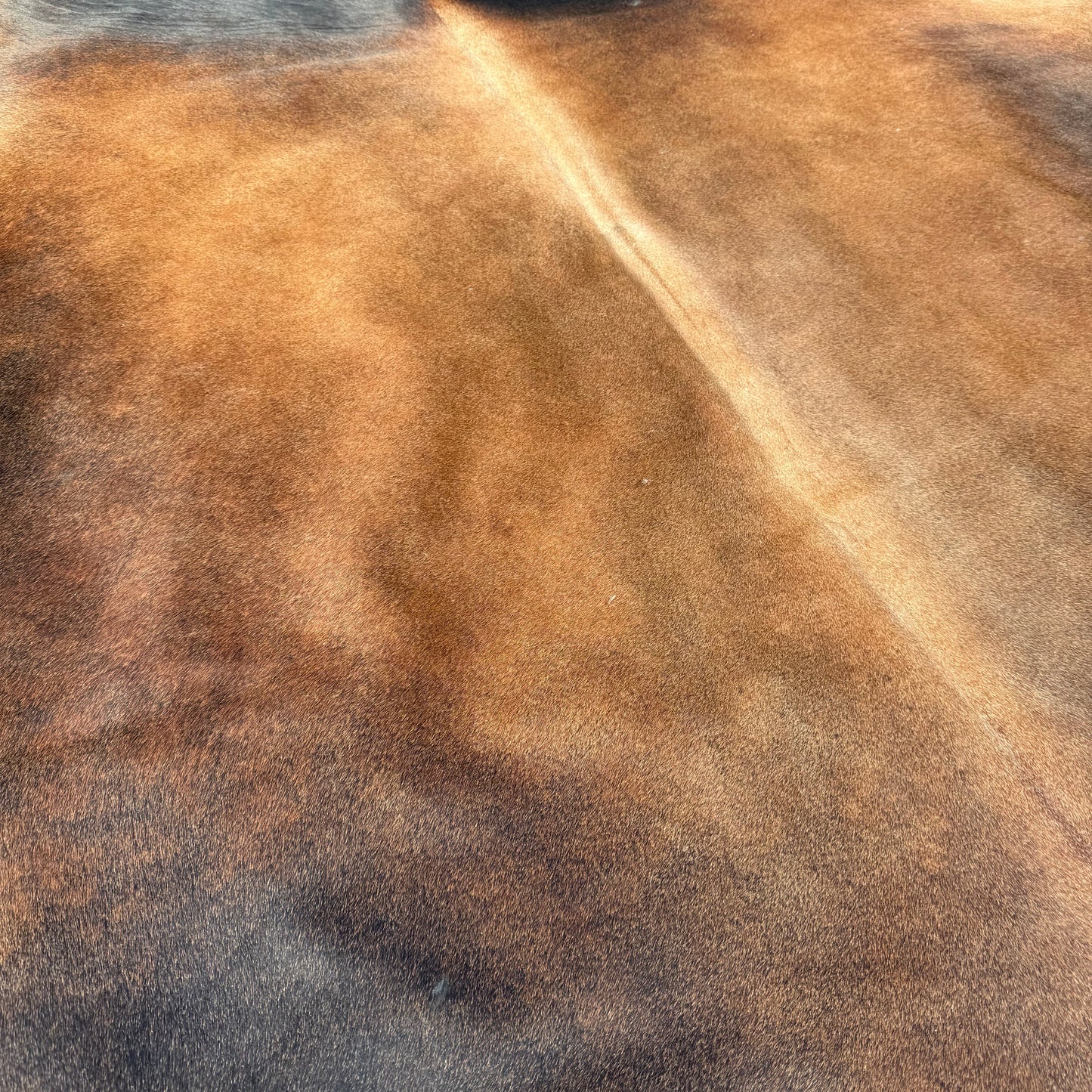 Large Premium Cowhide Rug 0041