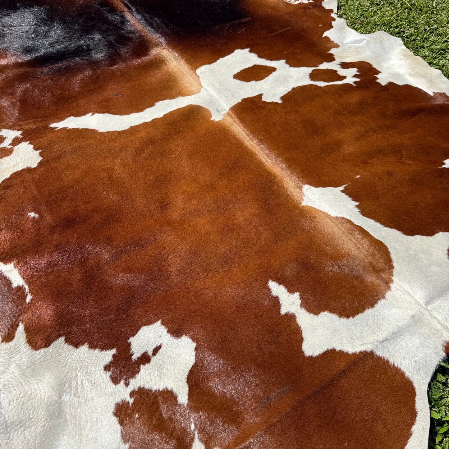 Large Red Cowhide Rug