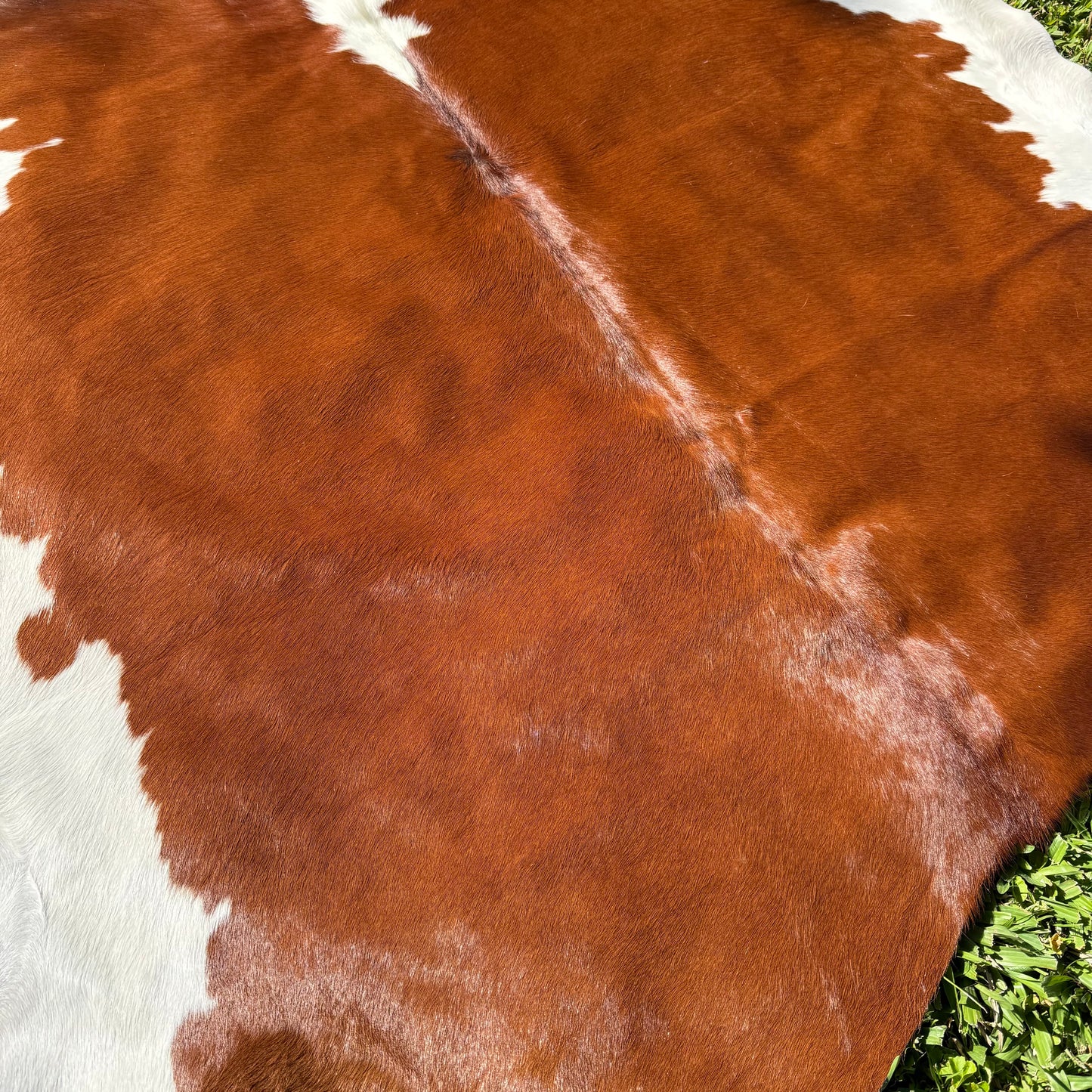 Hereford Cowhide Rug
