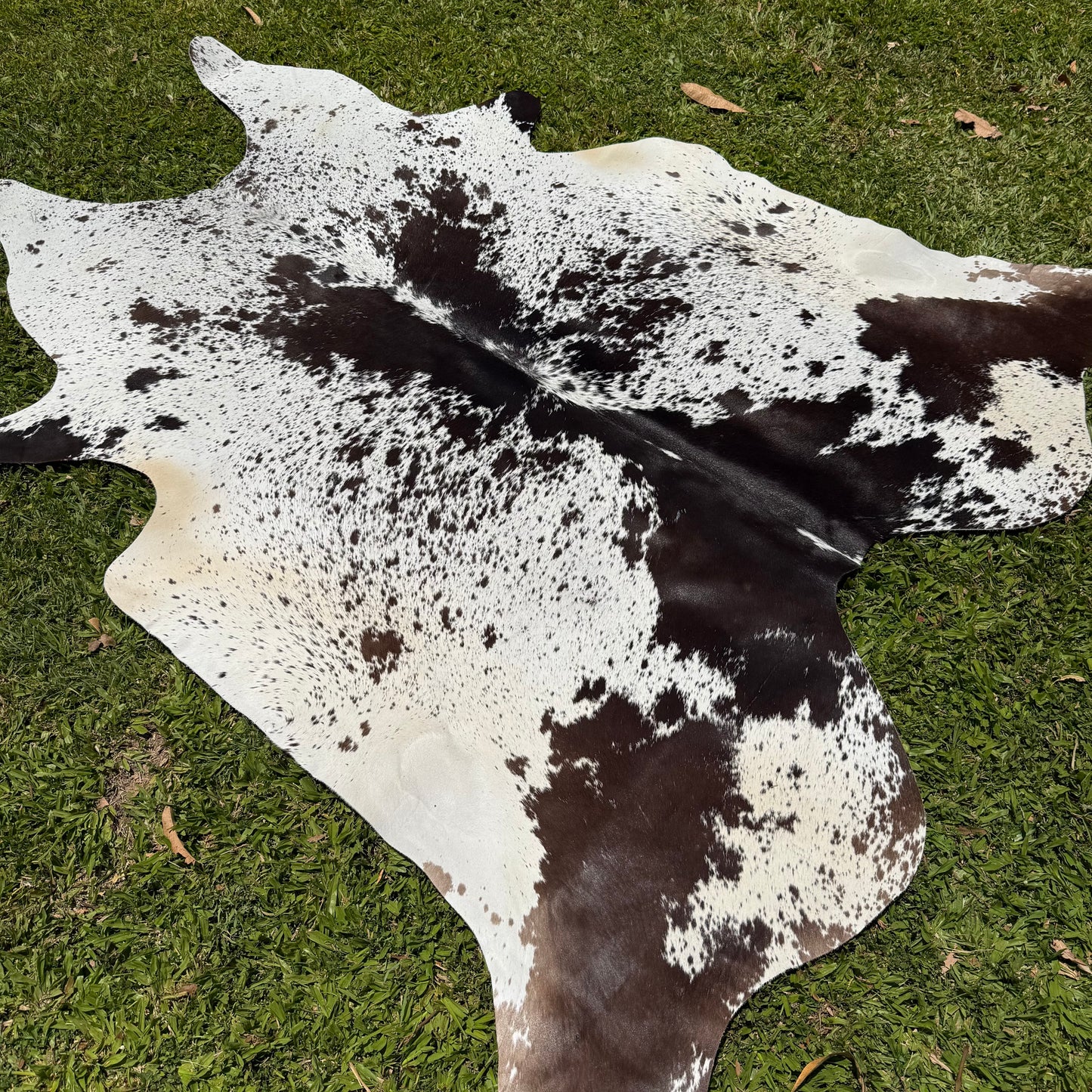 Premium Cowhide Rug 20001