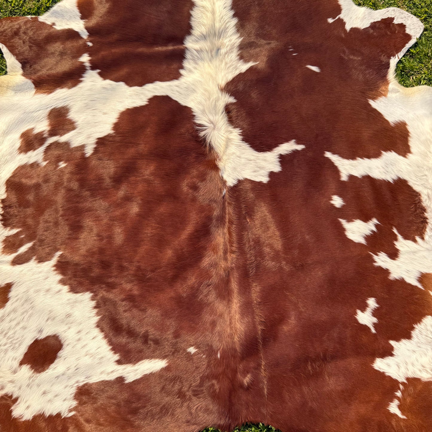 Premium Cowhide Rug 00027