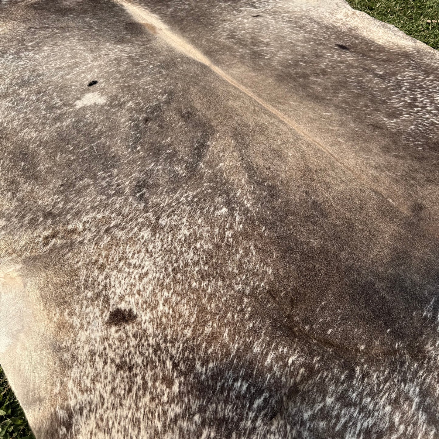 XL Premium Cowhide Rug 00030