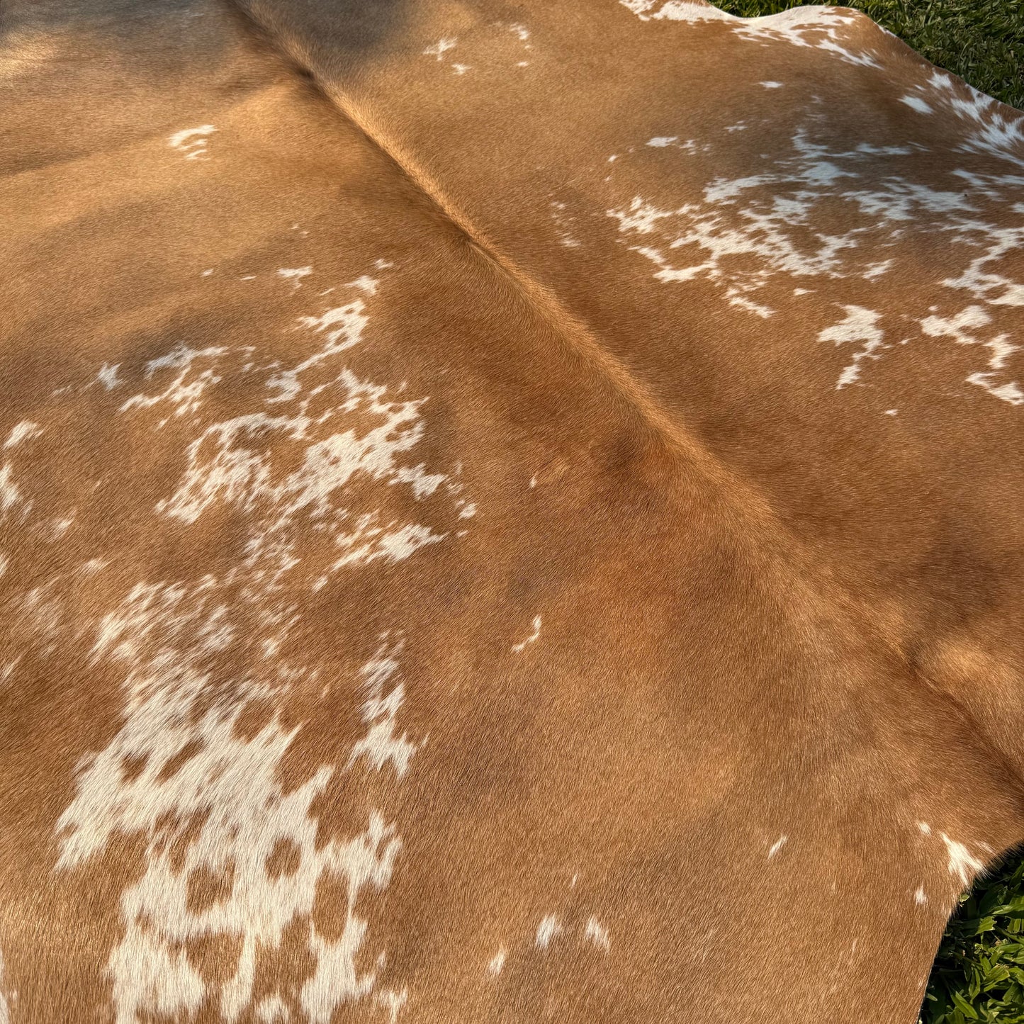 Premium Cowhide Rug 00048