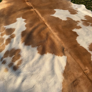 Premium Cowhide Rug 00024
