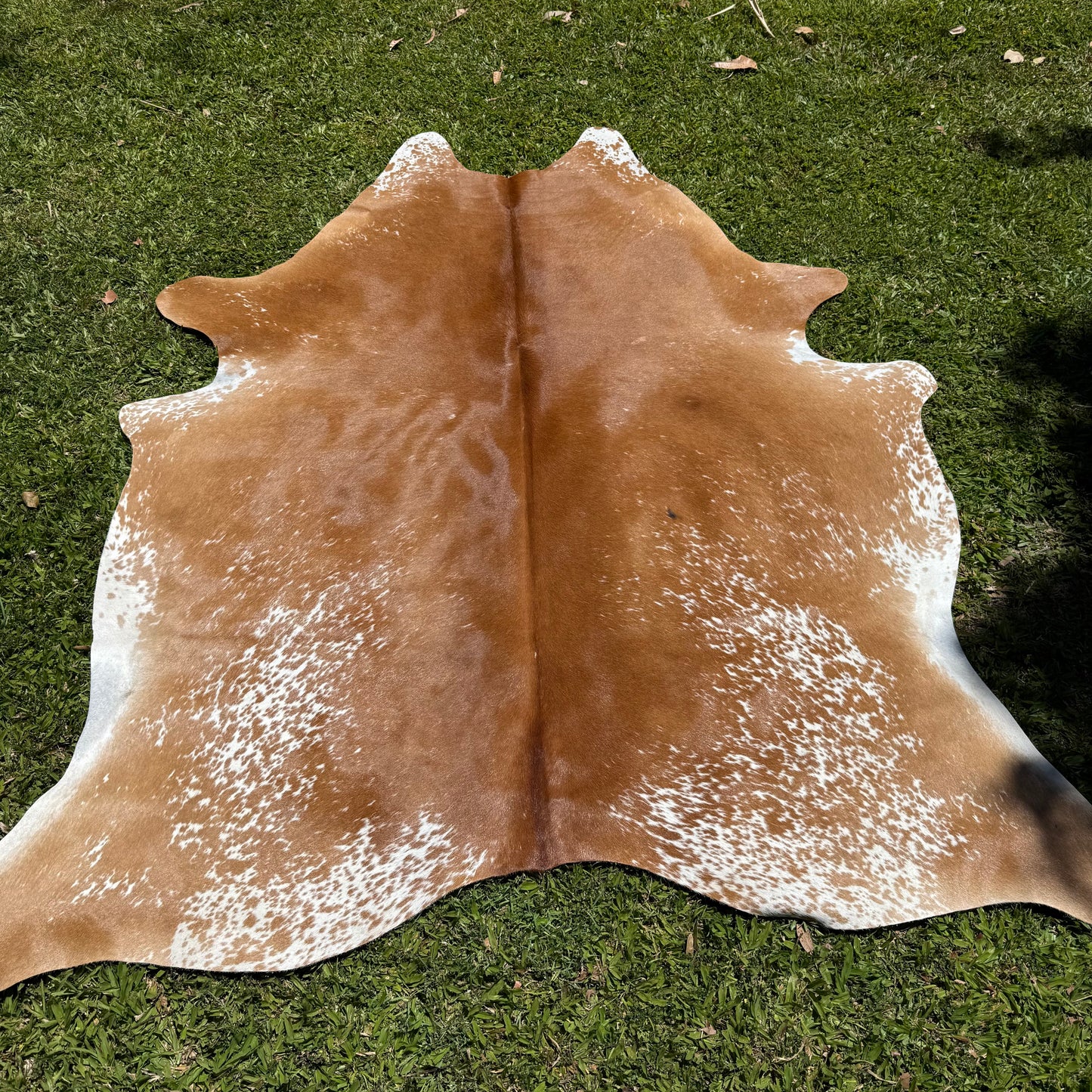 Premium Cowhide Rug 0008