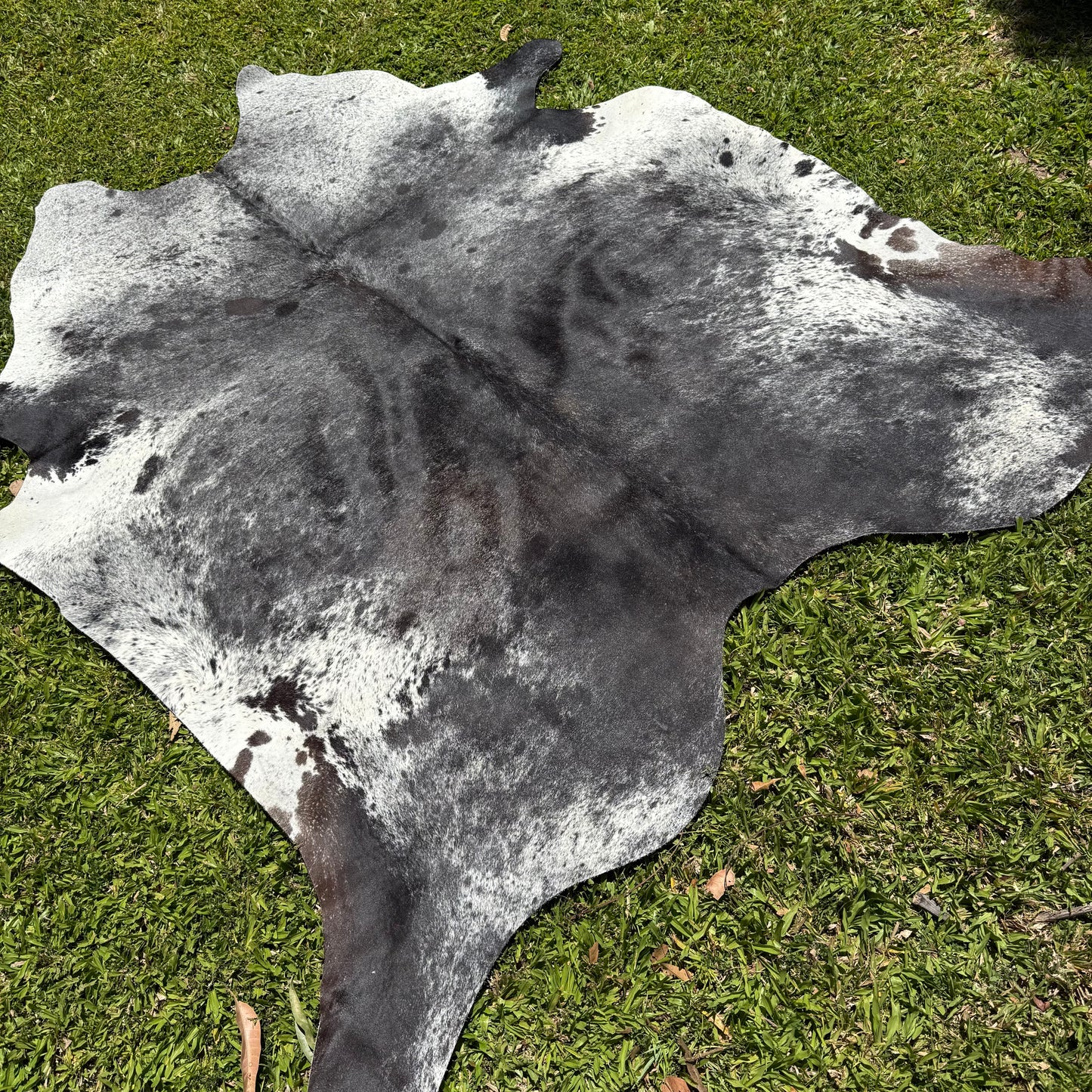 Premium Cowhide Rug 00017