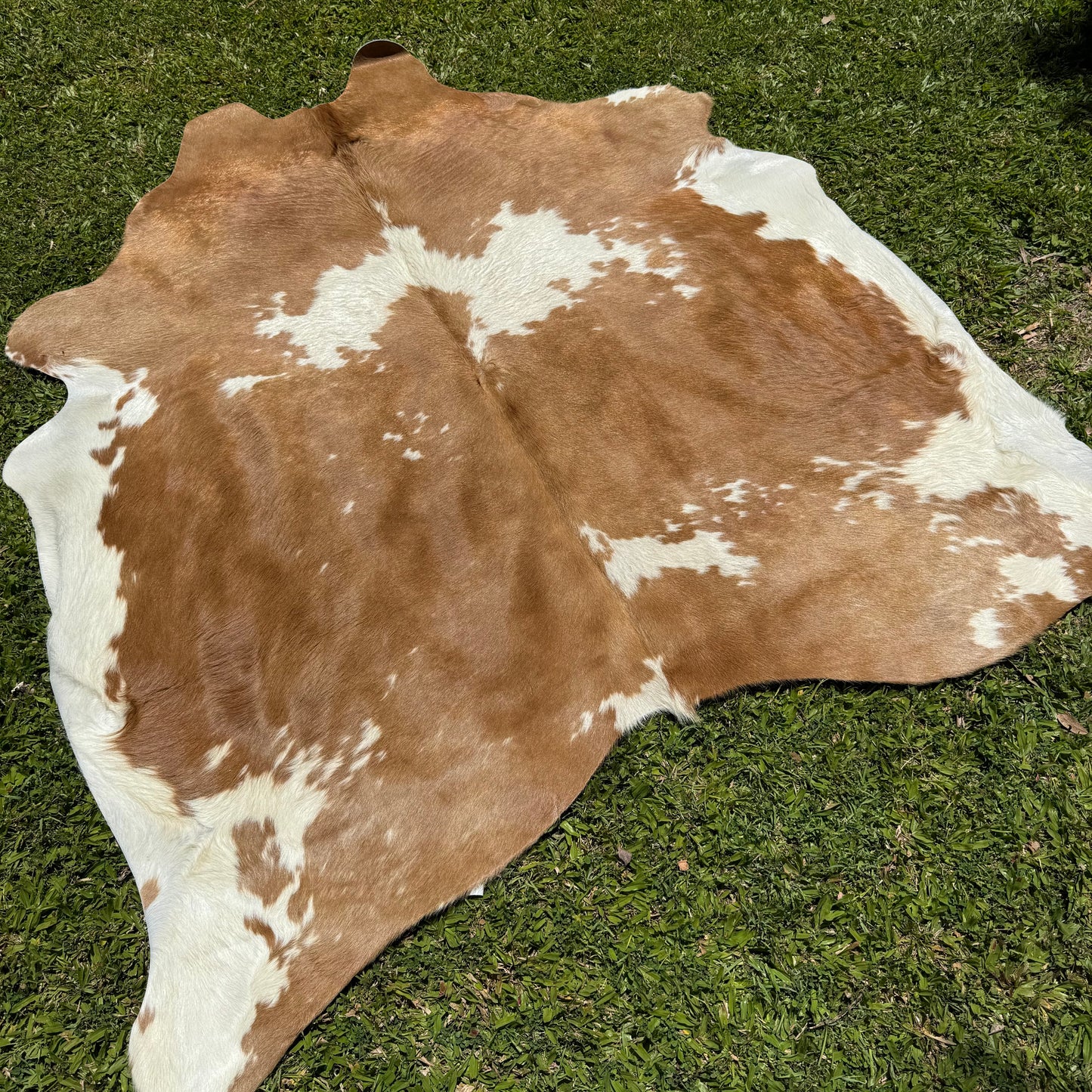 Premium Cowhide Rug 00010