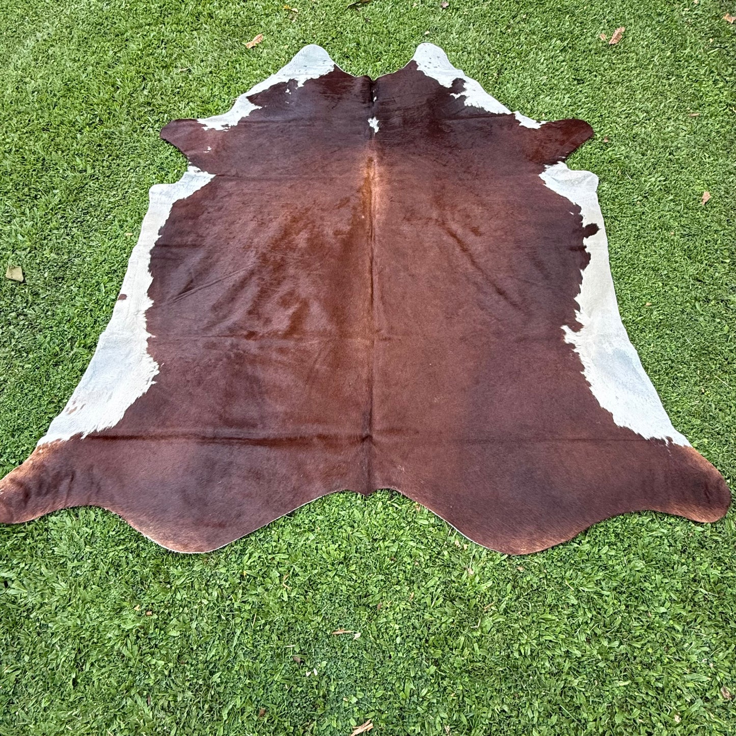 Large Premium Cowhide Floor Rug 01.
