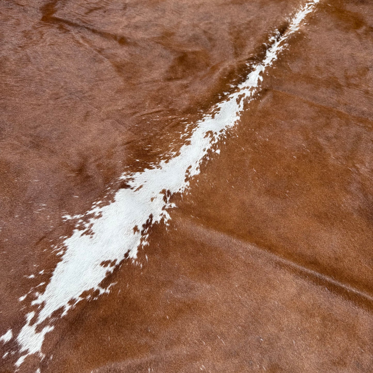 Large Premium Cowhide Floor Rug 05