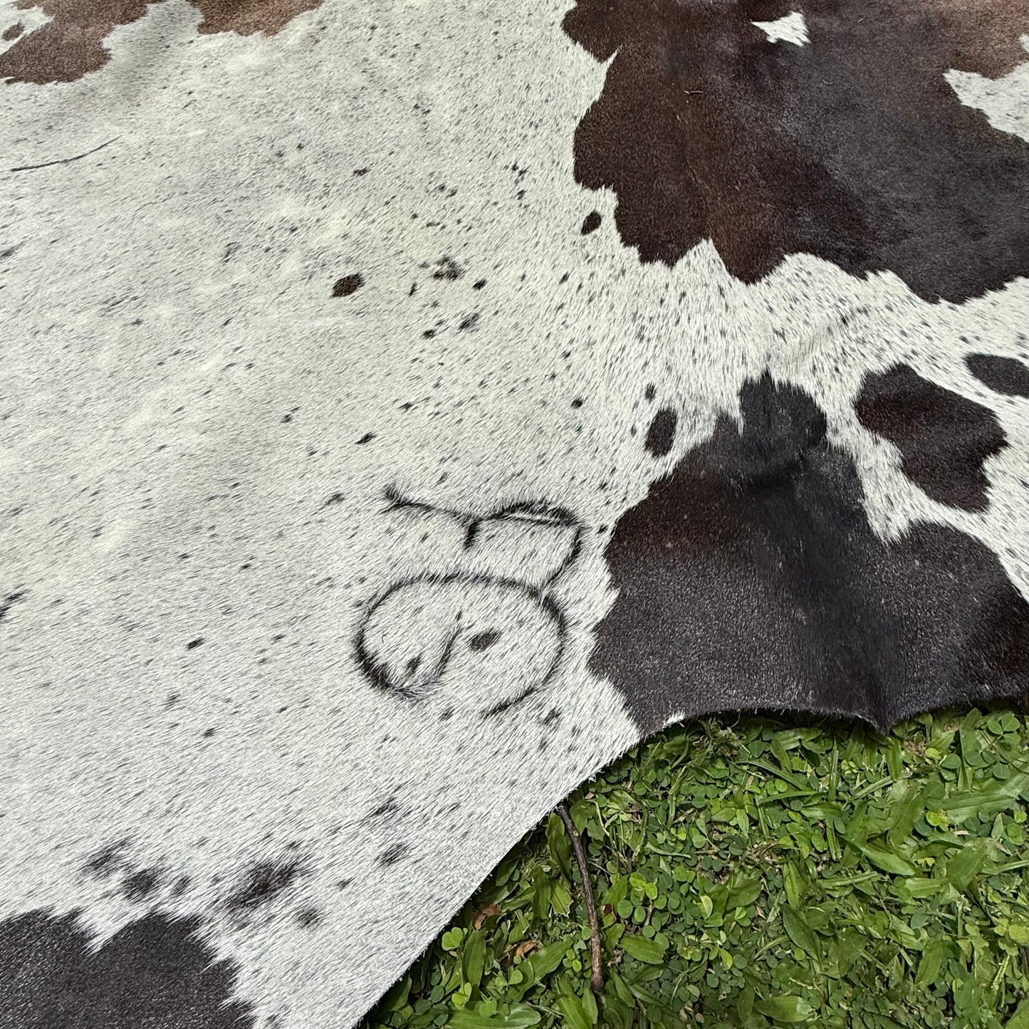 Large Premium Cowhide Floor Rug 07