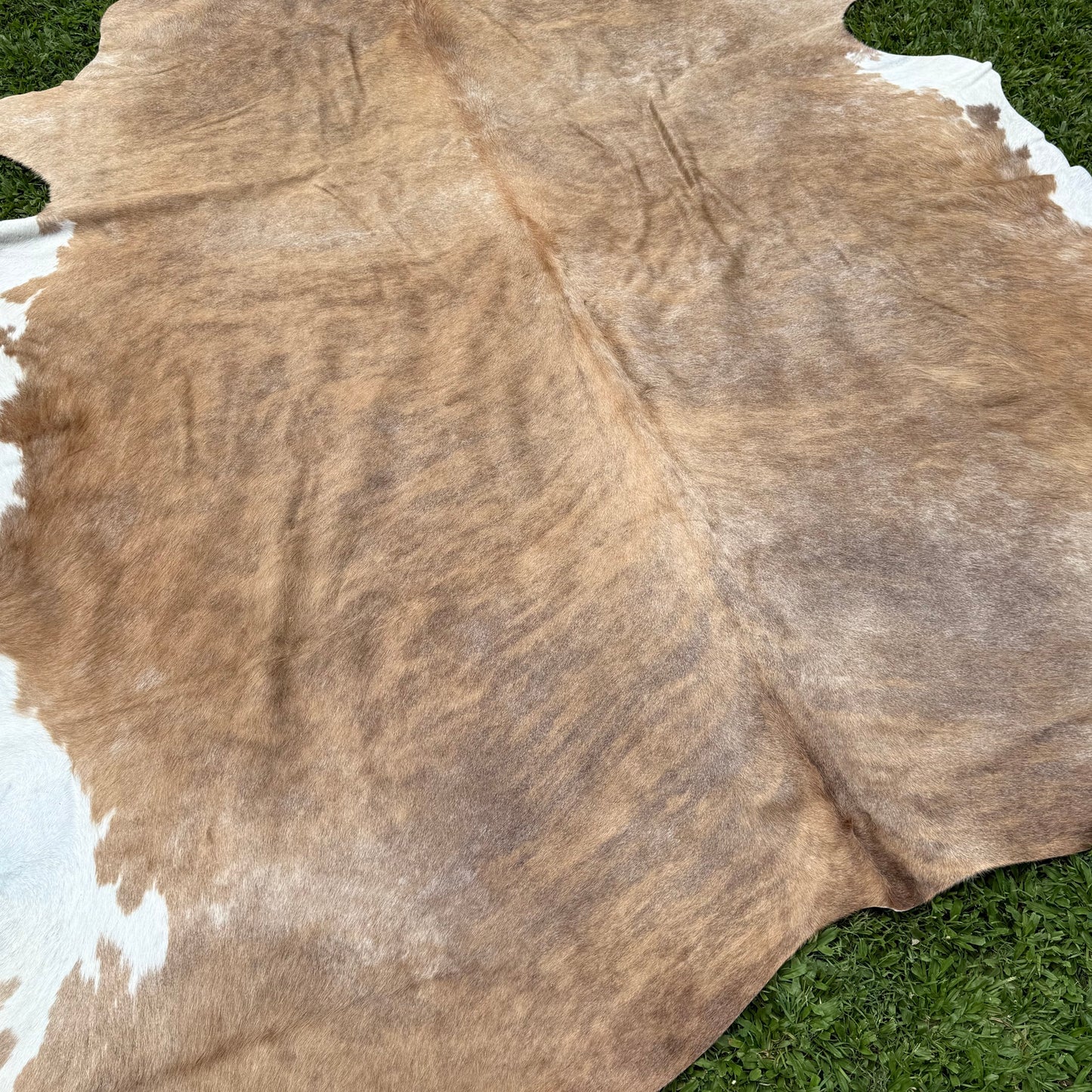 XLarge Premium Cowhide Floor Rug 12