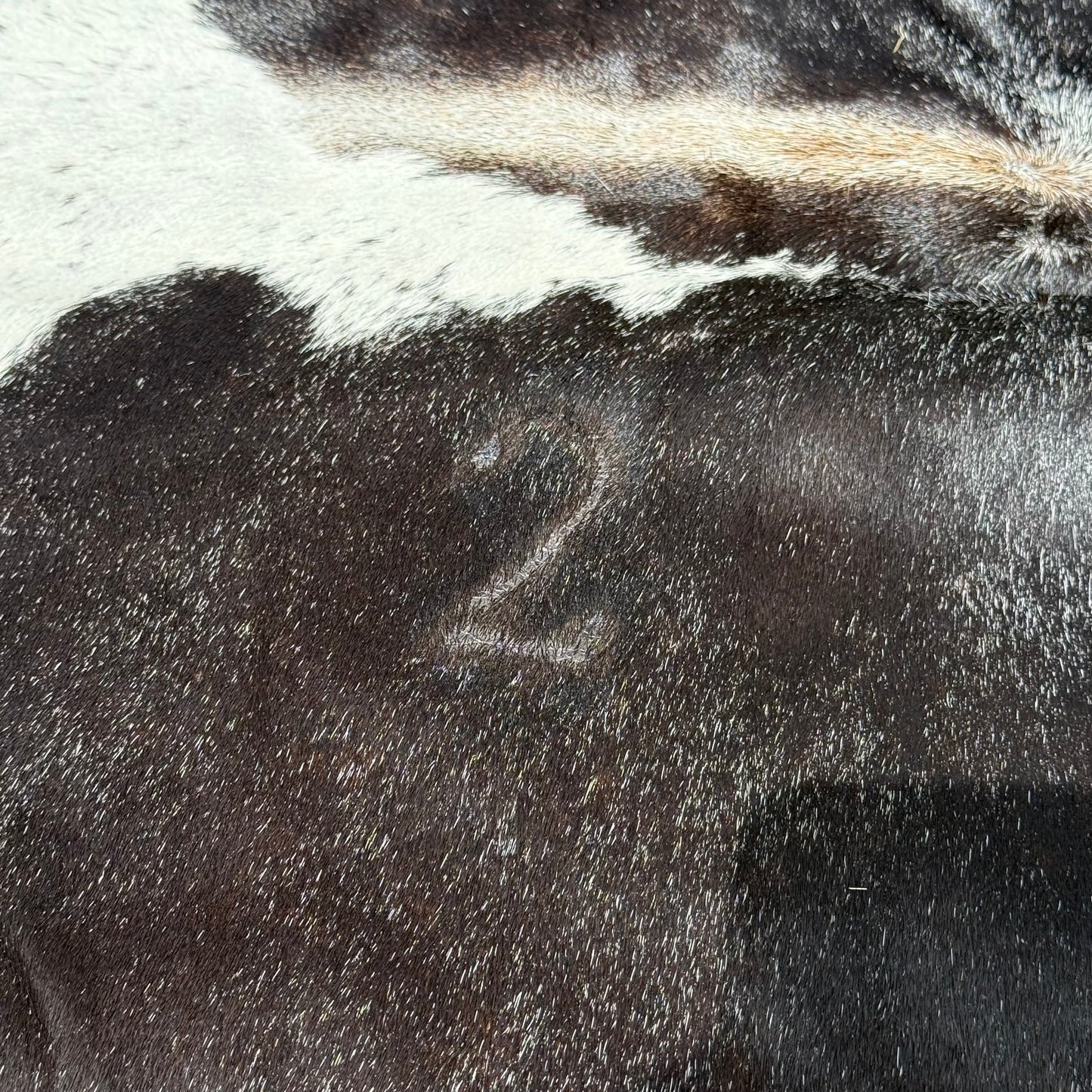 Large Premium Cowhide Floor Rug 13