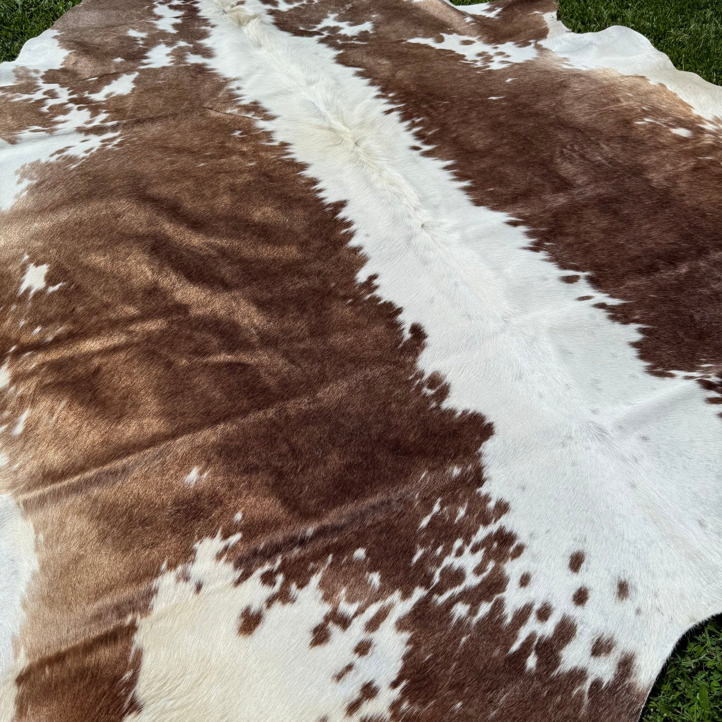 XLarge Premium Cowhide Floor Rug 14
