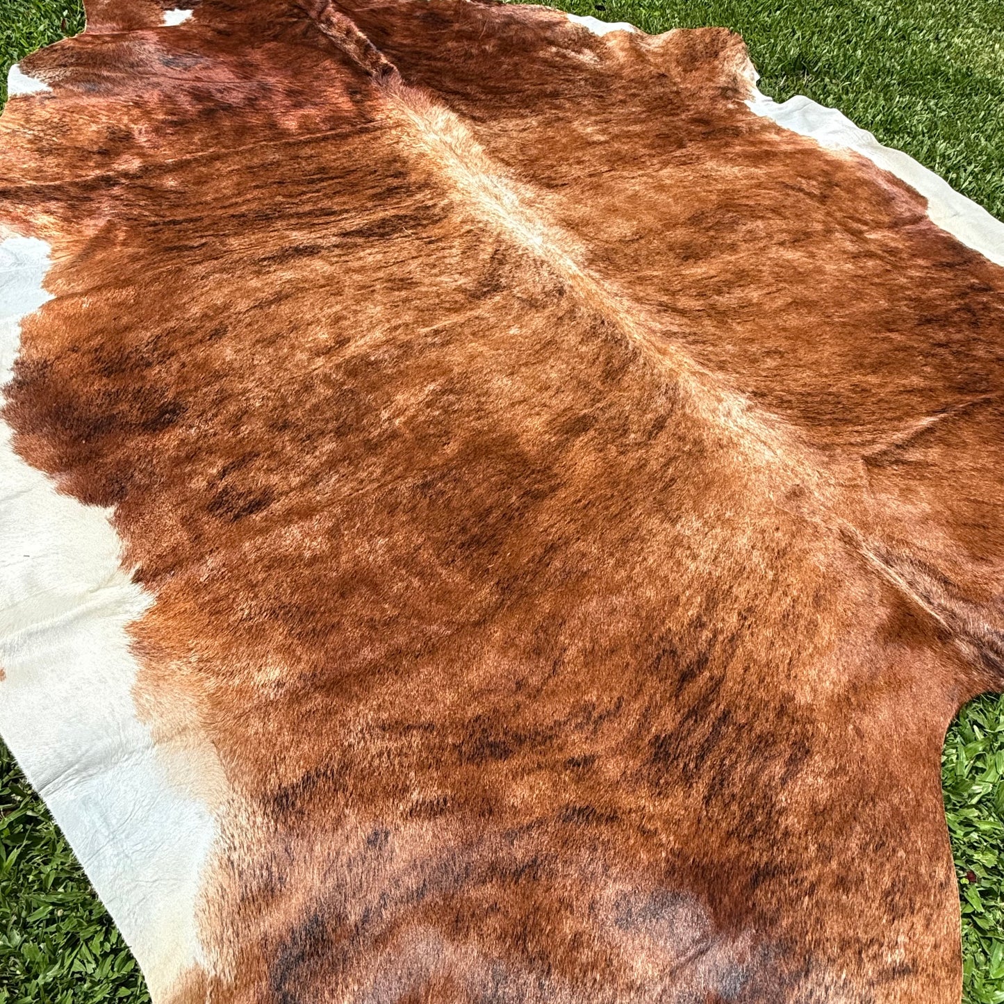 XLarge Premium Cowhide Floor Rug 15