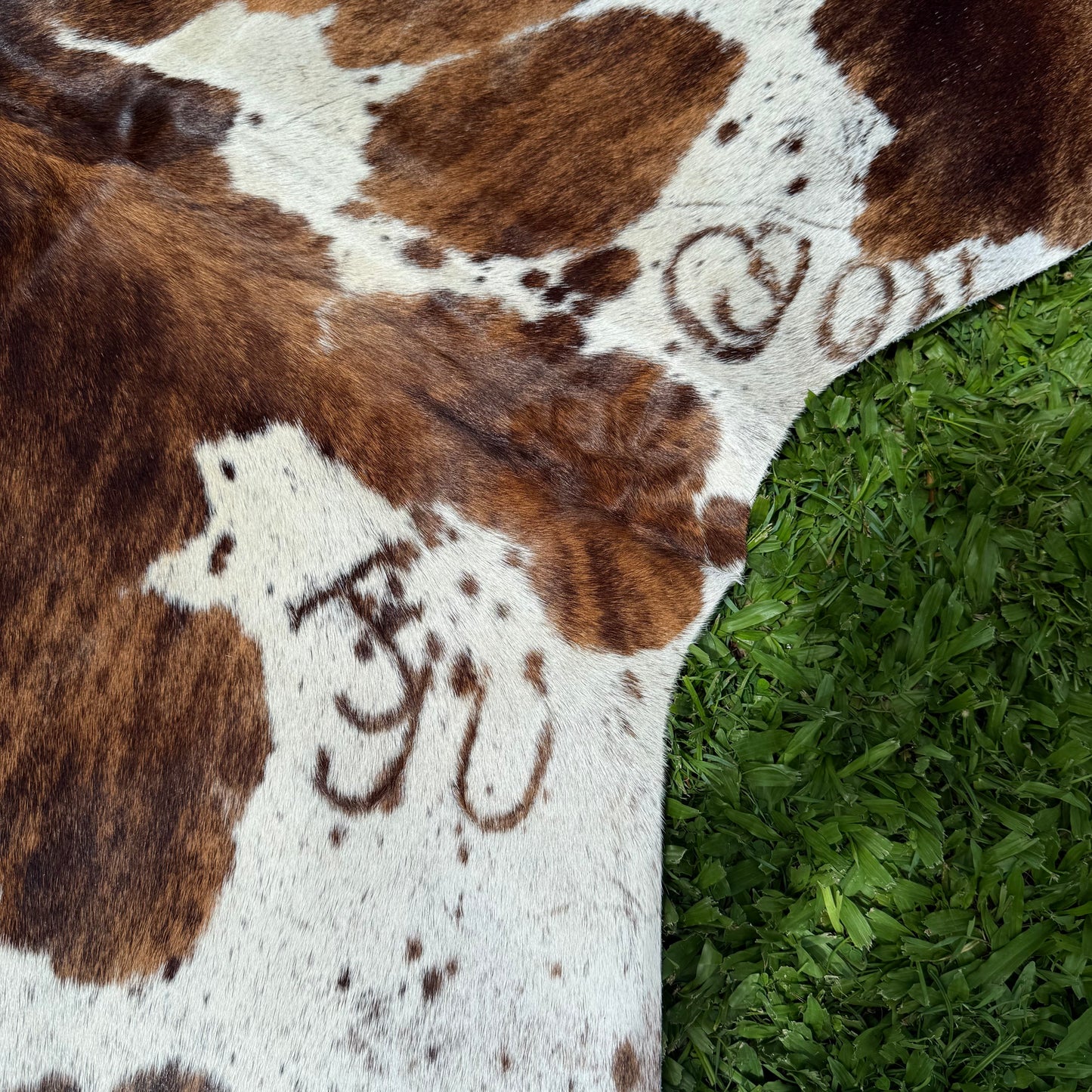 Regular Premium Cowhide Floor Rug 16