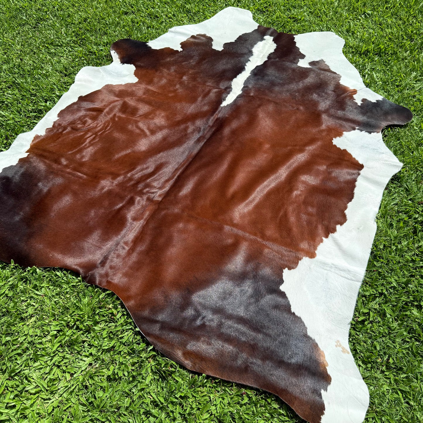 Large Premium Cowhide Floor Rug 22