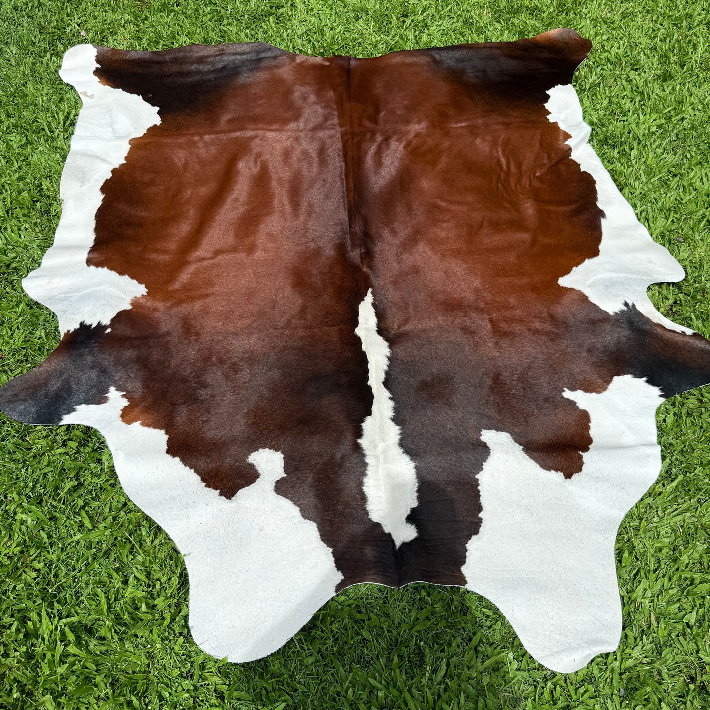 Large Premium Cowhide Floor Rug 22