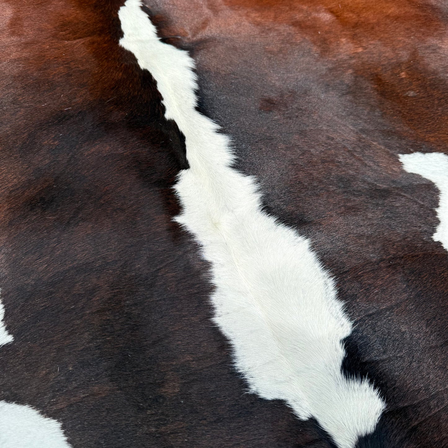 Large Premium Cowhide Floor Rug 22