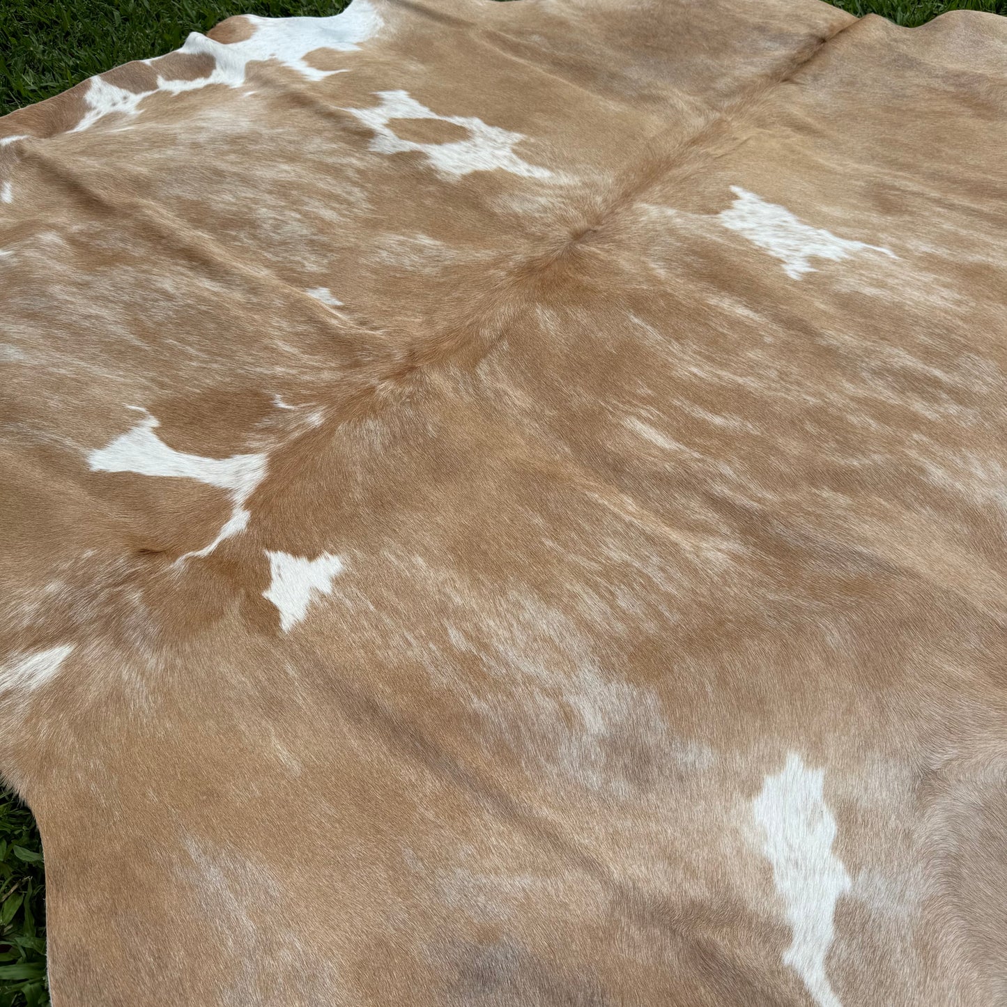 XLarge Premium Cowhide Floor Rug 24