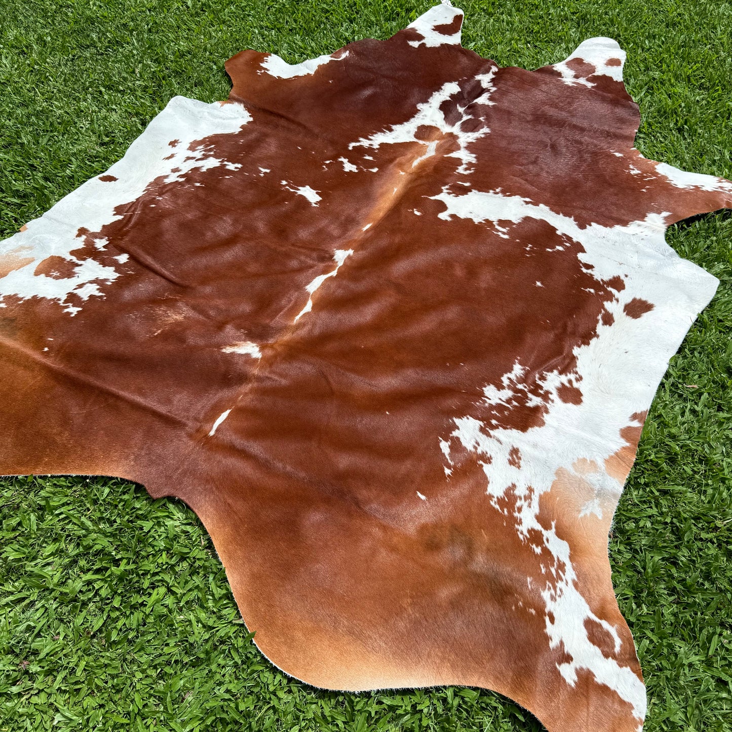 XLarge Premium Cowhide Floor Rug 25