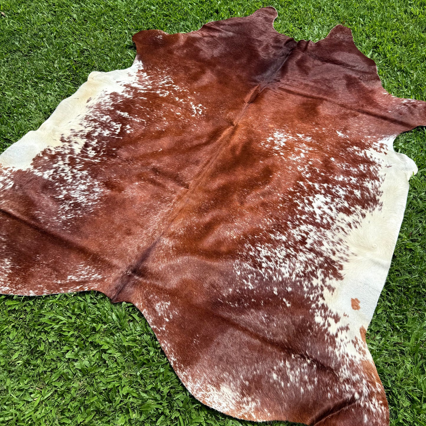 Large Premium Cowhide Floor Rug 27