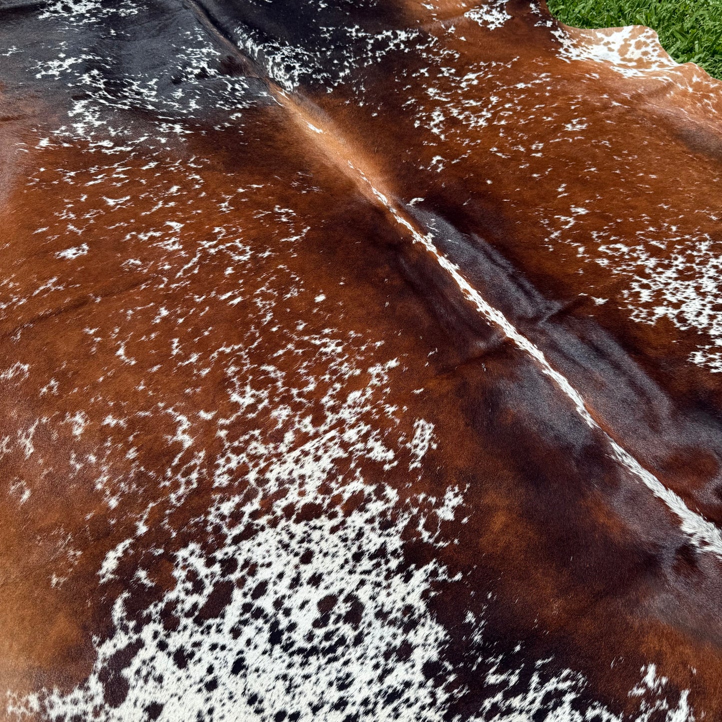 Reg Premium Cowhide Floor Rug 33