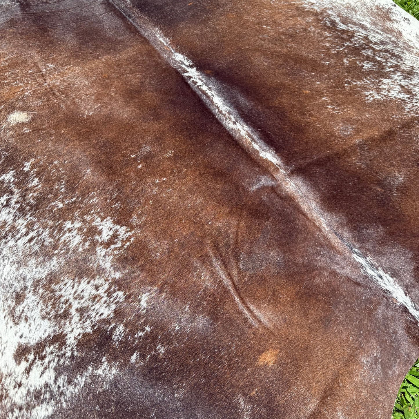 Large Premium Cowhide Floor Rug 34