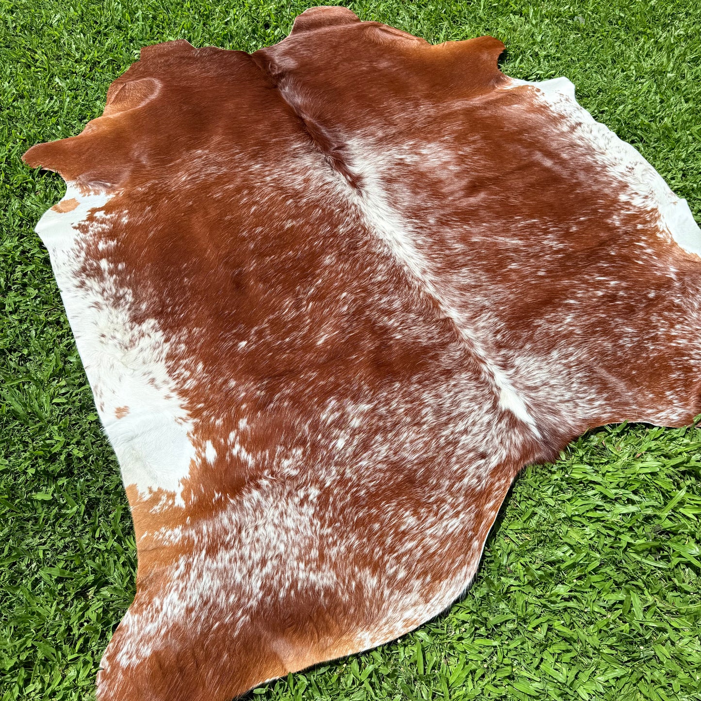 Small Premium Cowhide Floor Rug 36