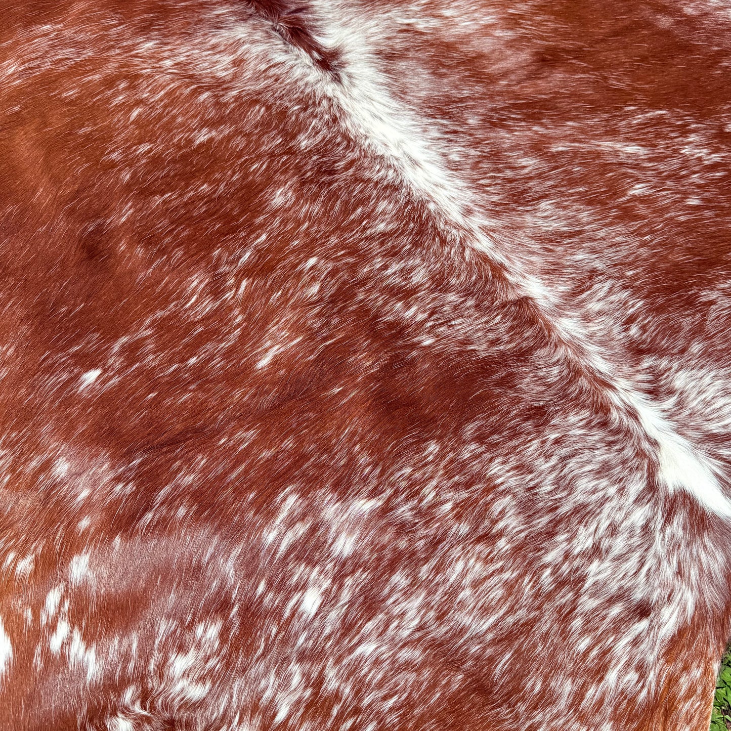 Small Premium Cowhide Floor Rug 36