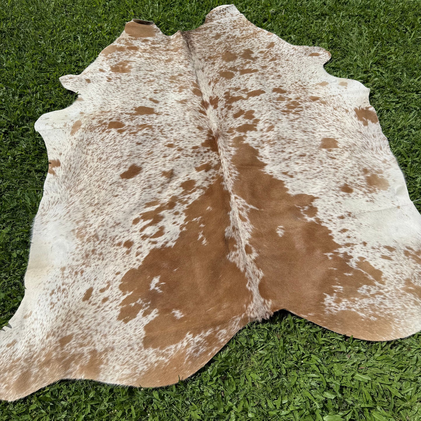Small Premium Cowhide Floor Rug 42