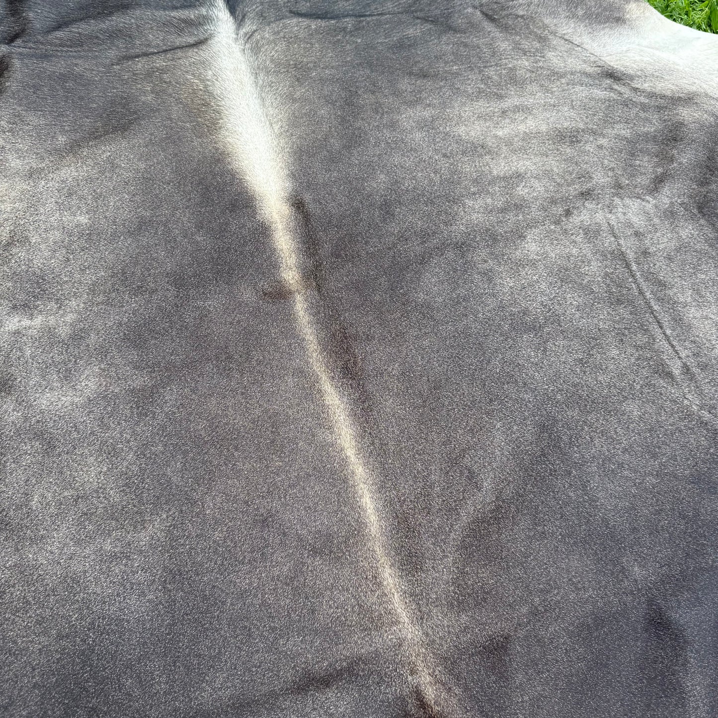 Large Premium Cowhide Floor Rug 49