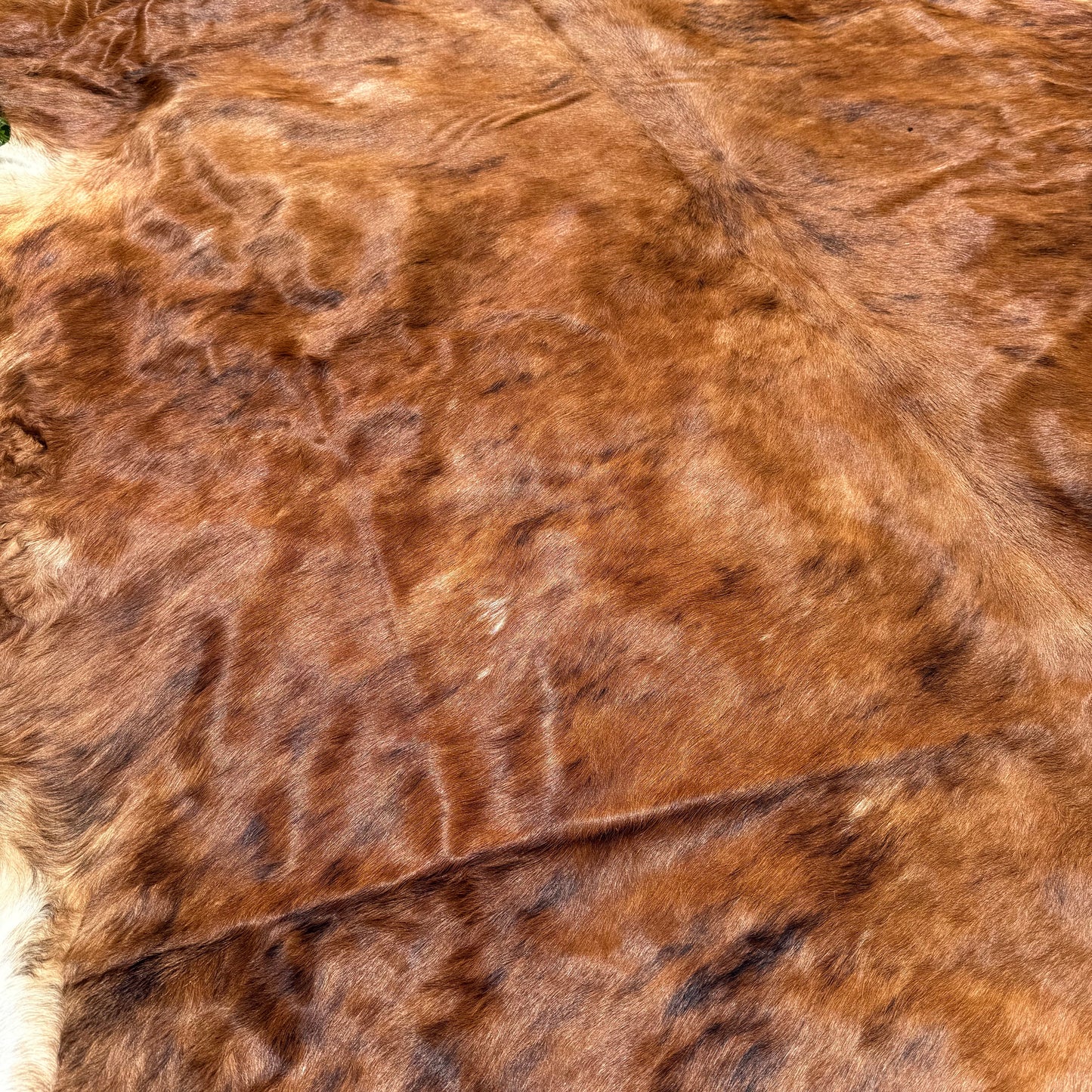 Large Premium Cowhide Floor Rug 51