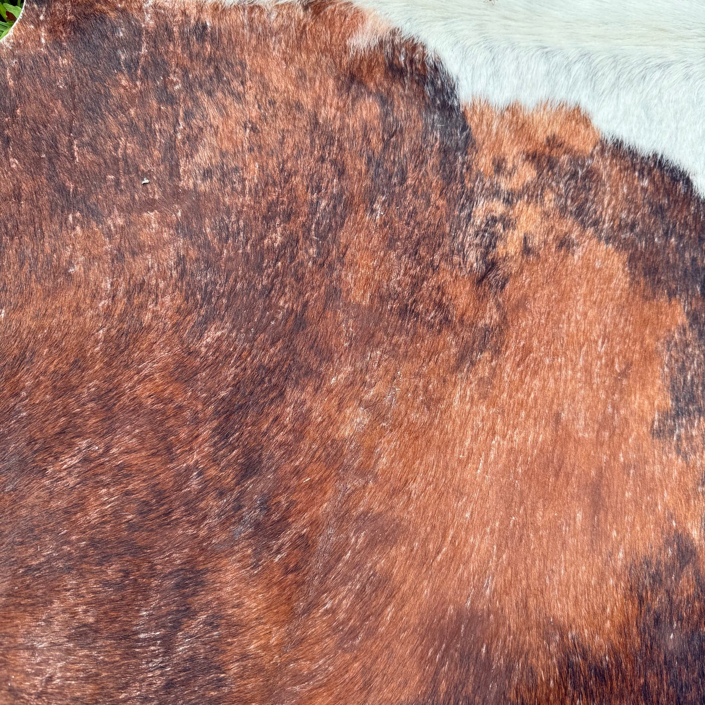 Large second grade Cowhide Floor Rug 52