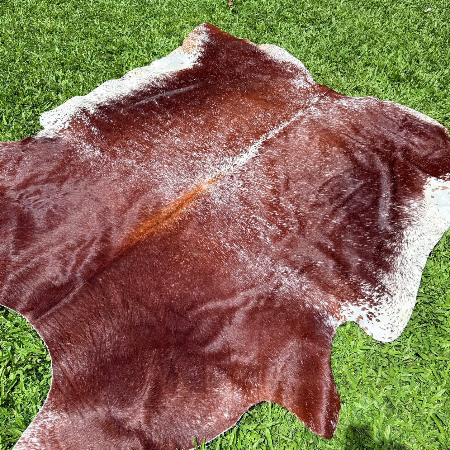 Large Premium Cowhide Floor Rug 53