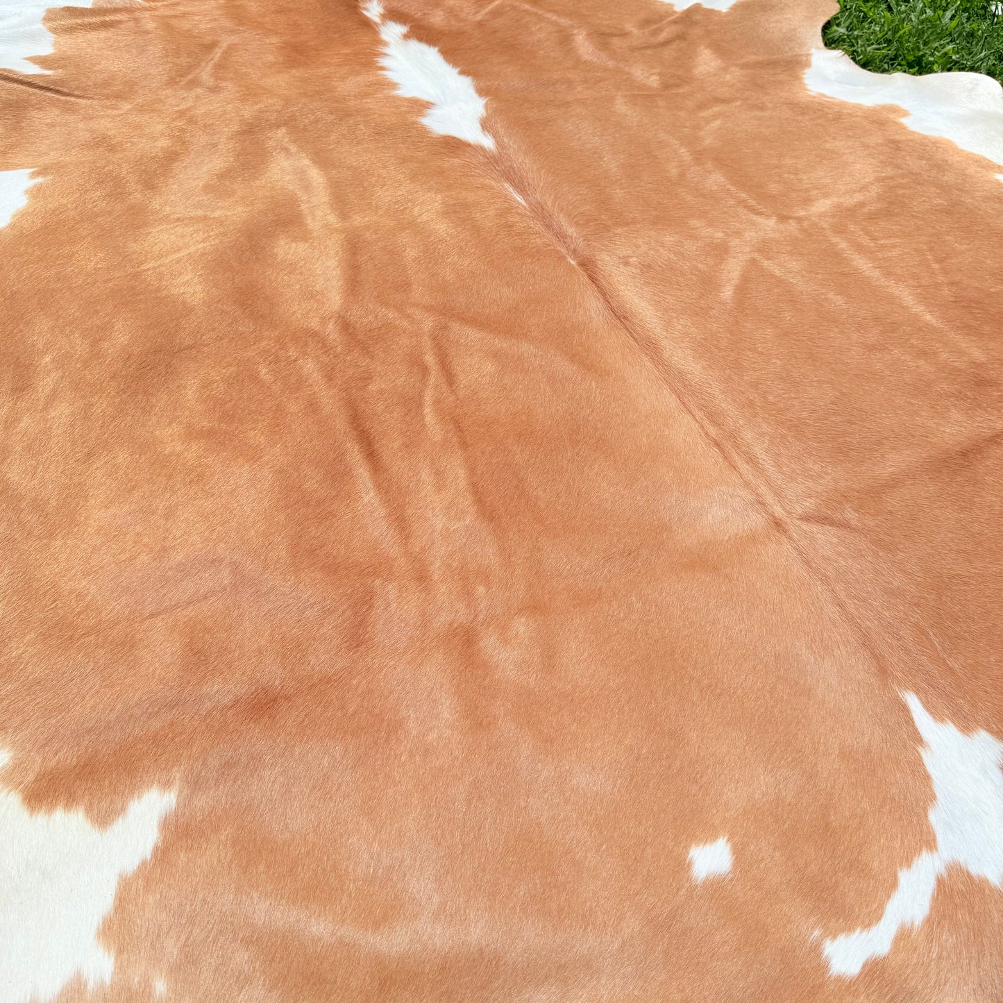 Large Premium Cowhide Floor Rug 58