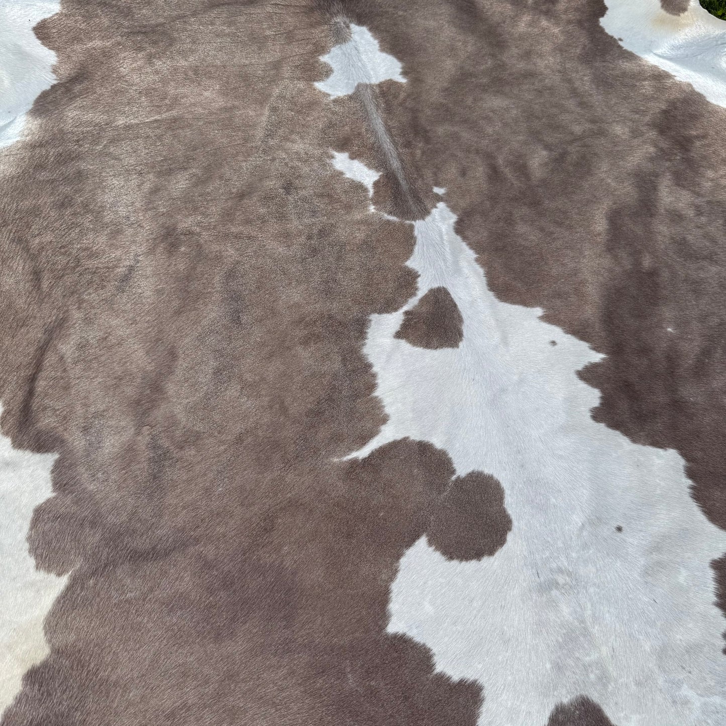 Large Premium Cowhide Floor Rug 59
