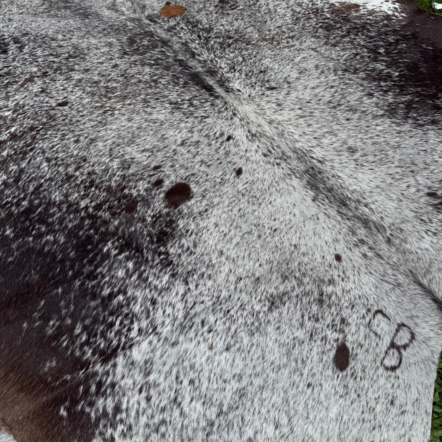 Large Premium Cowhide Floor Rug 61
