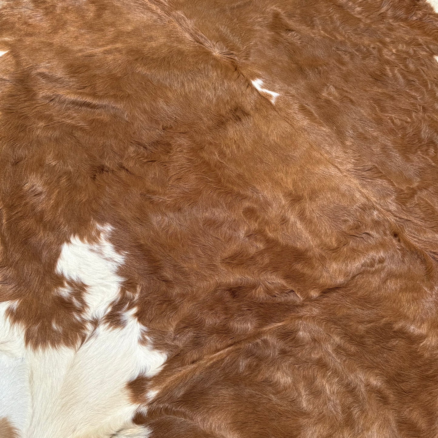 Large Premium Cowhide Floor Rug 62