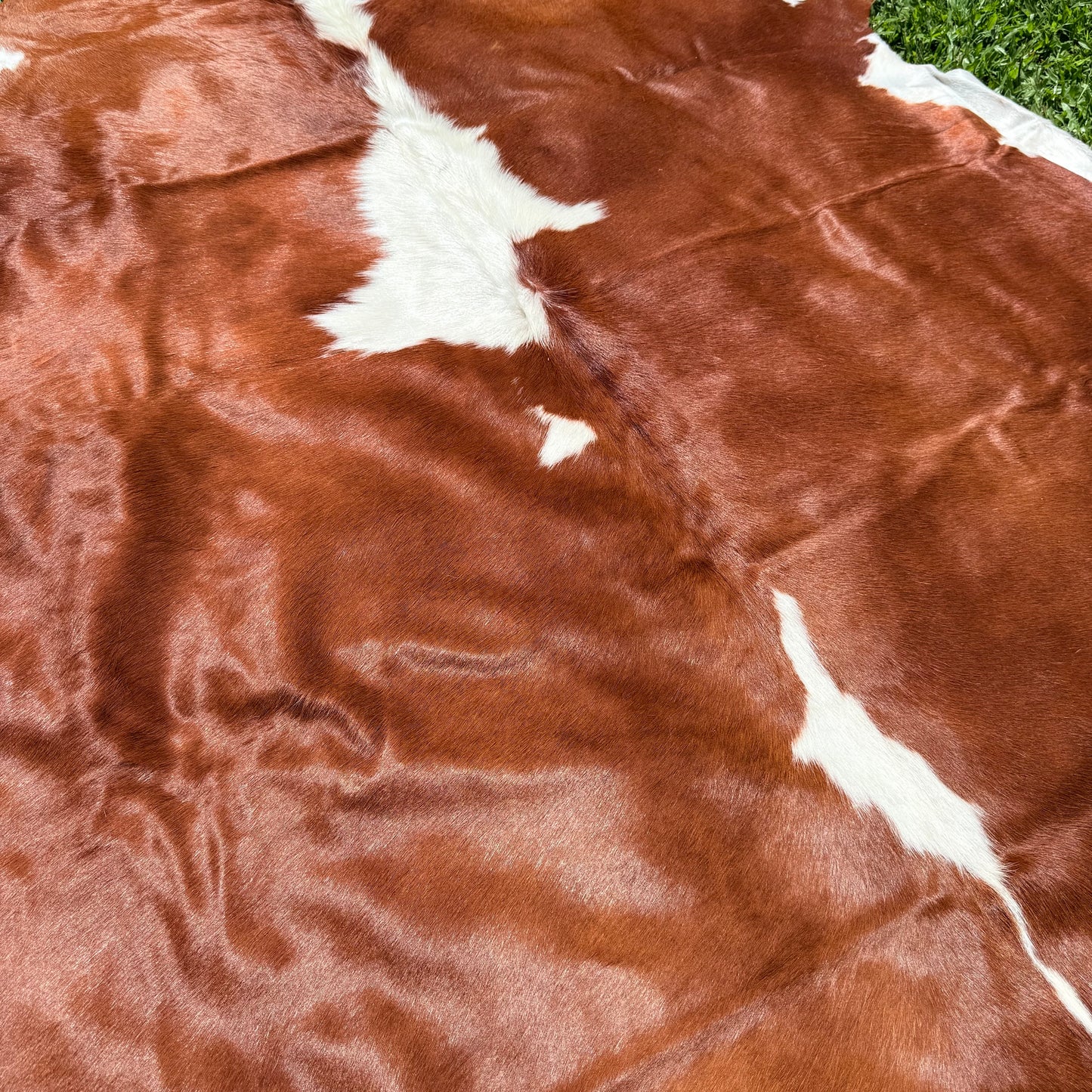 Large Premium Cowhide Floor Rug 65
