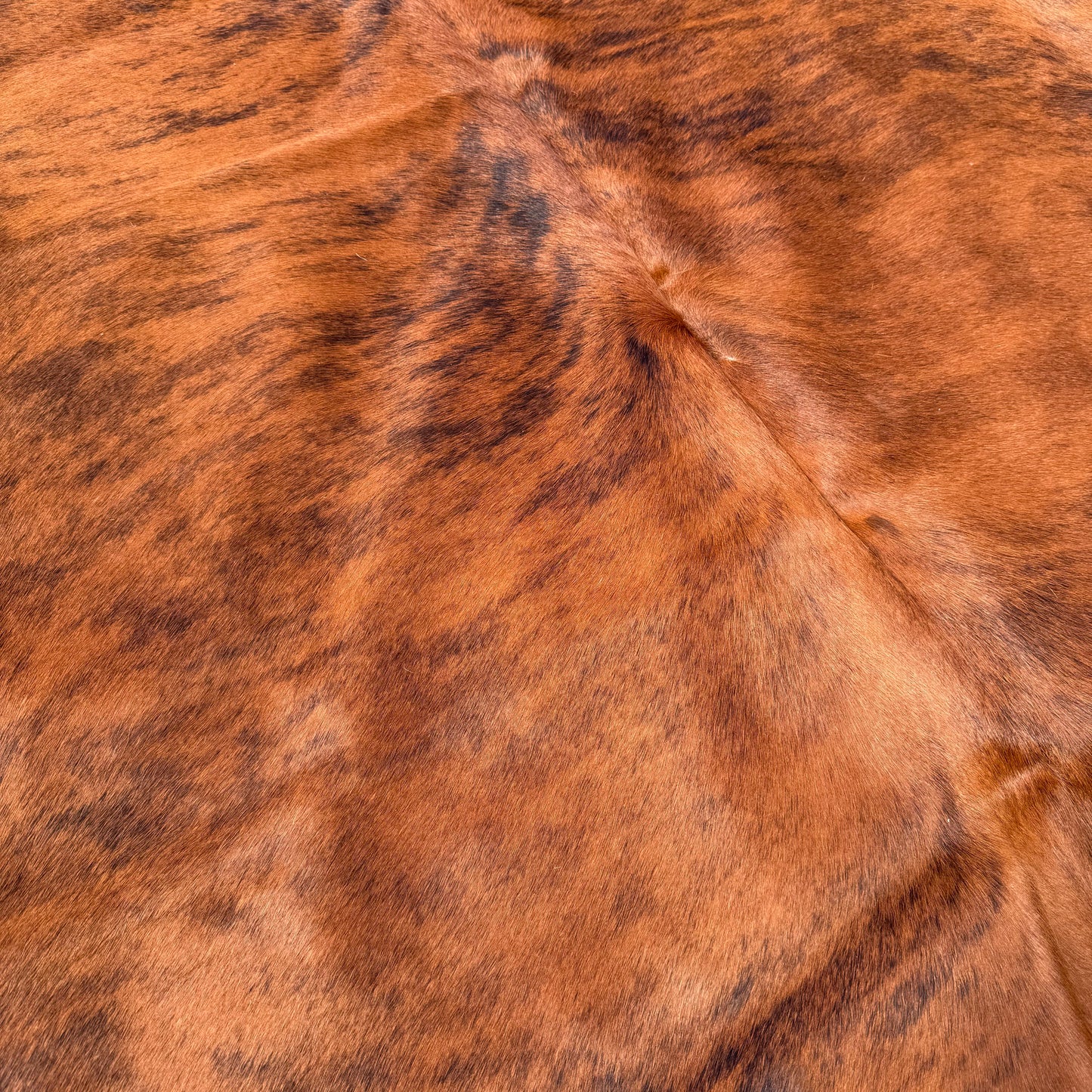 Small Premium Cowhide Floor Rug 66