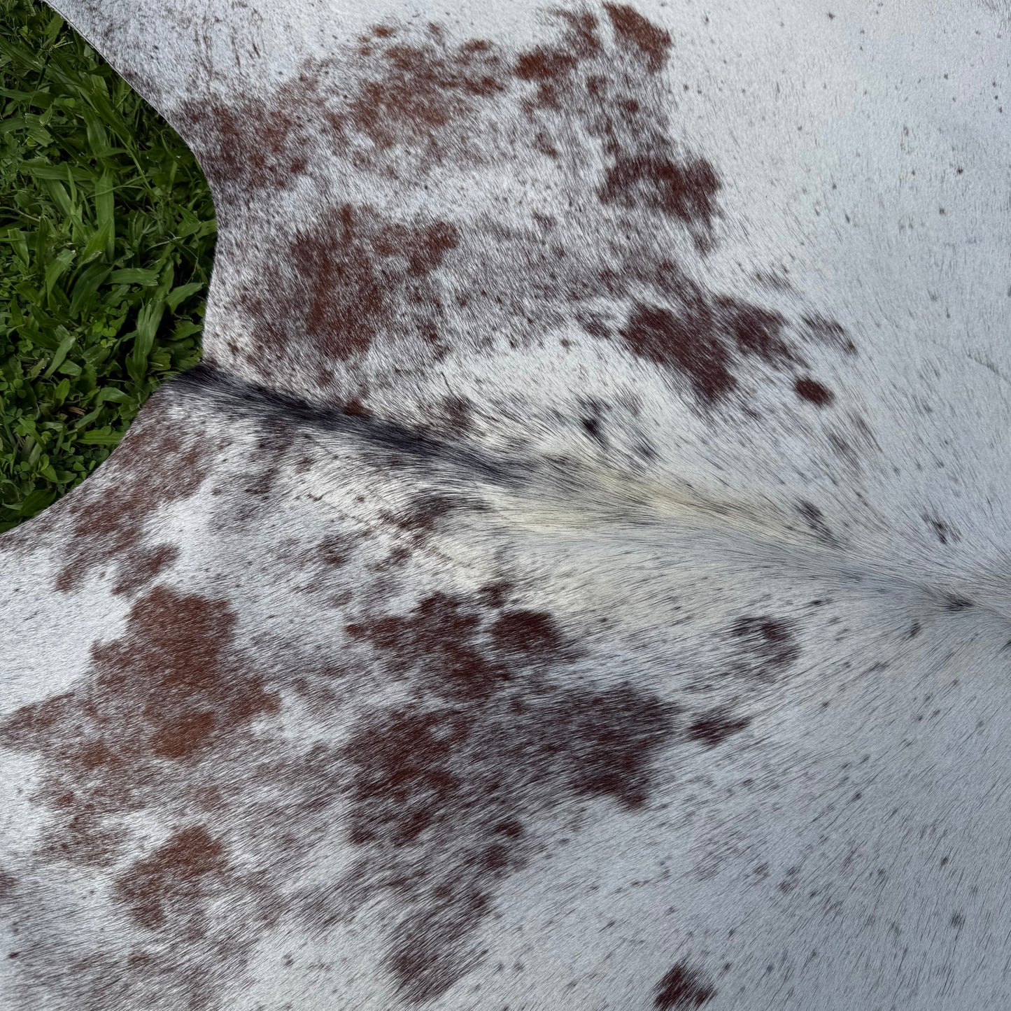 Small Premium Cowhide Floor Rug 69