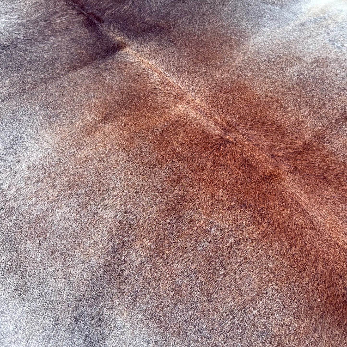 Small Premium Cowhide Floor Rug 72
