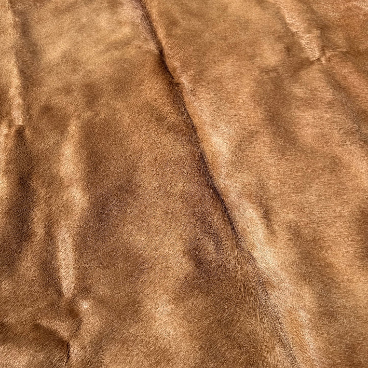 Small Premium Cowhide Floor Rug 74