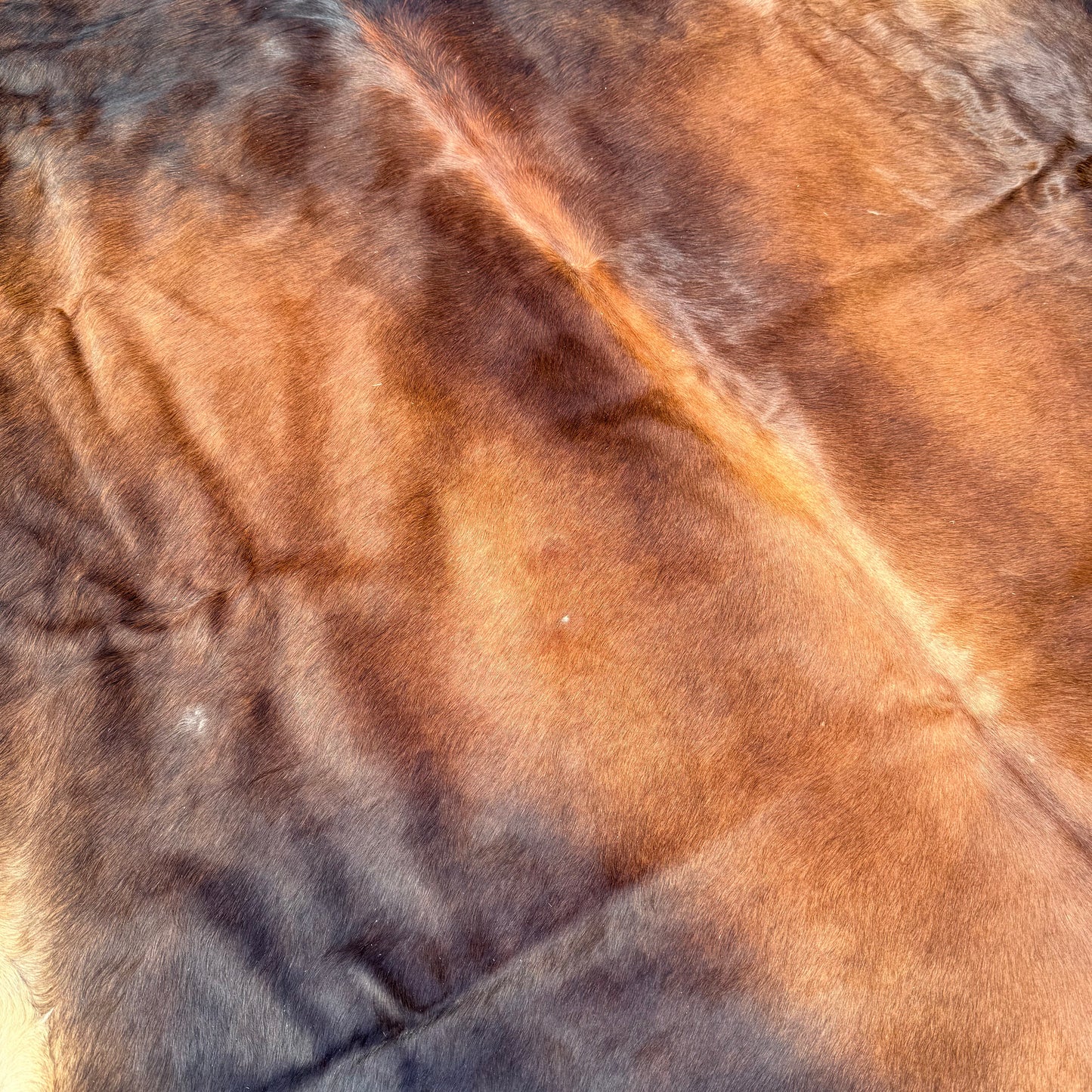 Large Premium Cowhide Floor Rug 79
