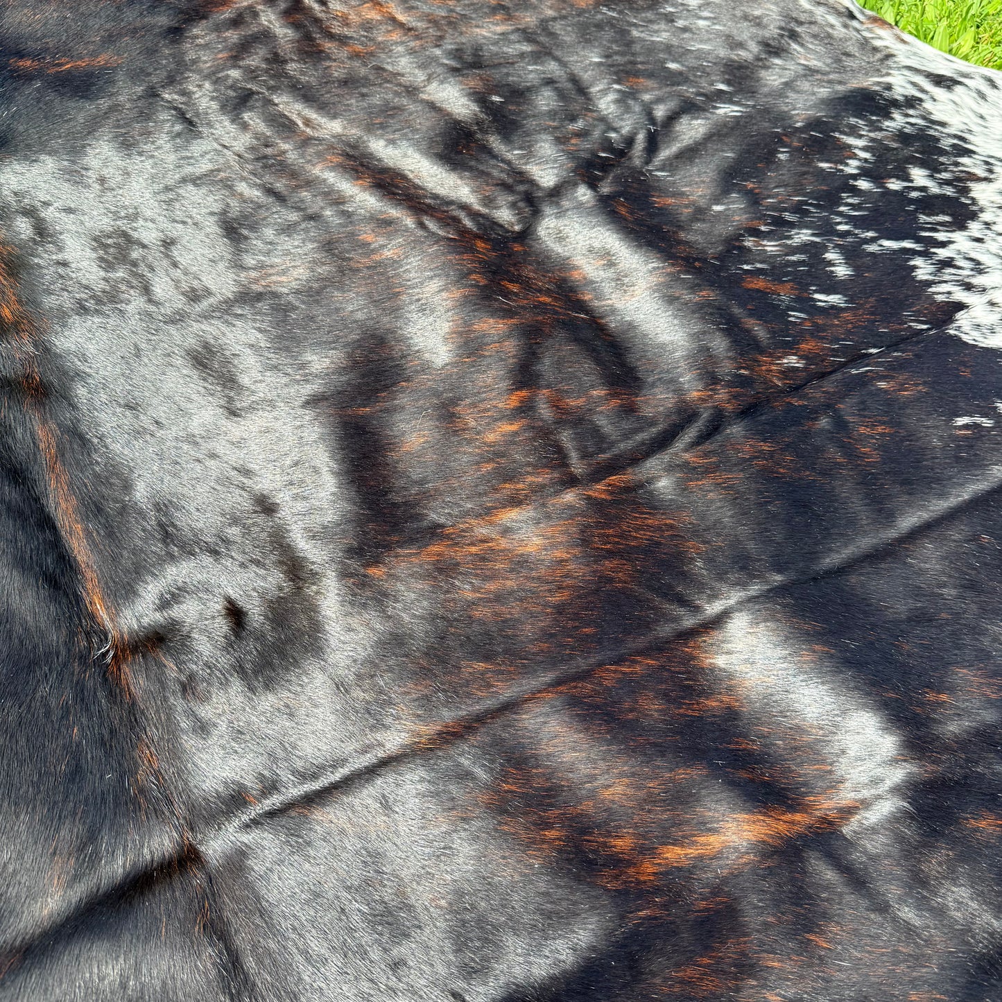 Large Premium Cowhide Floor Rug 81