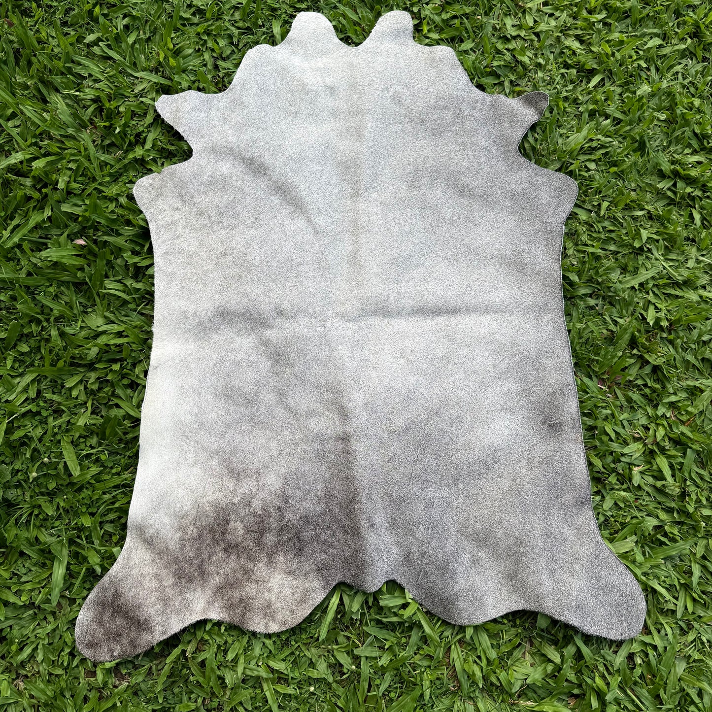 Mini Cowhide 2